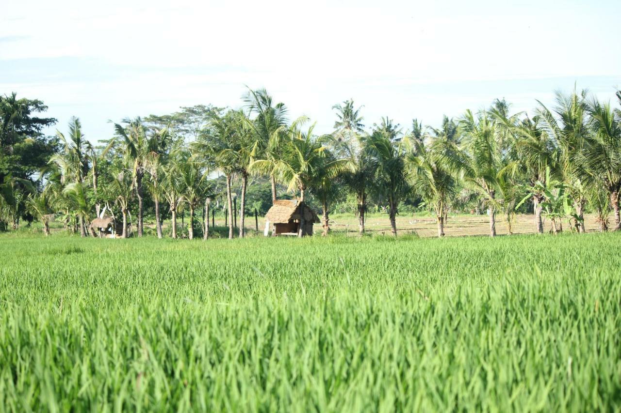Ayuna Family Ubud Eksteriør bilde