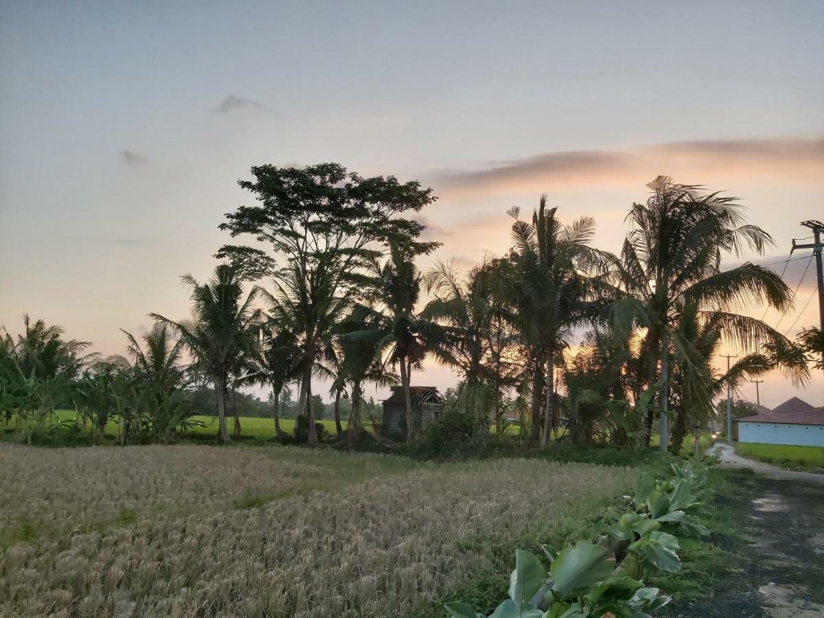 Ayuna Family Ubud Eksteriør bilde